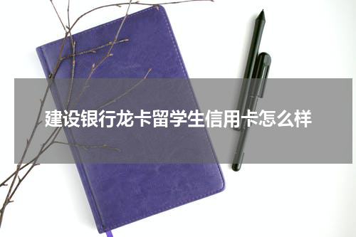 建设银行龙卡留学生信用卡怎么样