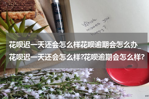 花呗迟一天还会怎么样花呗逾期会怎么办_花呗迟一天还会怎么样?花呗逾期会怎么样?