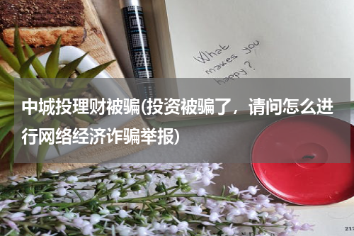 中城投理财被骗(投资被骗了，请问怎么进行网络经济诈骗举报)