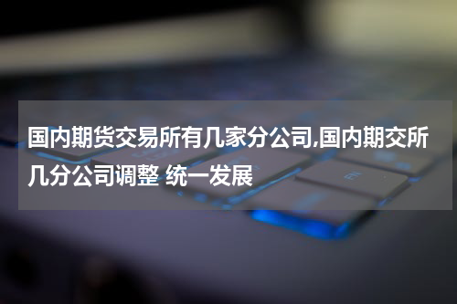 国内期货交易所有几家分公司,国内期交所几分公司调整 统一发展