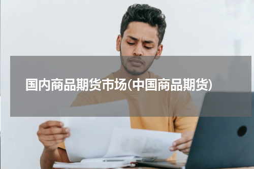 国内商品期货市场(中国商品期货)