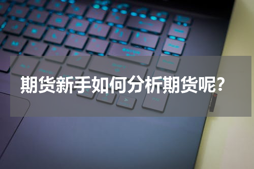 期货新手如何分析期货呢？