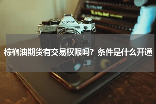 棕榈油期货有交易权限吗？条件是什么开通
