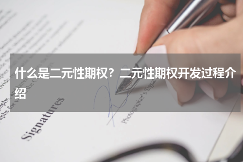 什么是二元性期权？二元性期权开发过程介绍
