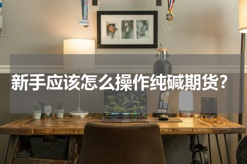 新手应该怎么操作纯碱期货？