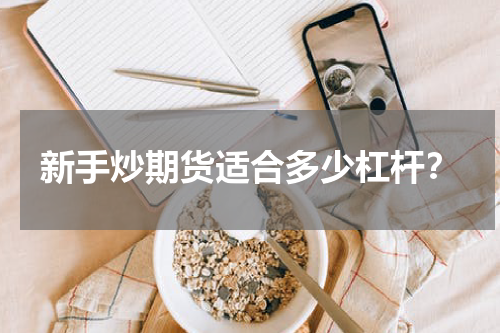 新手炒期货适合多少杠杆？