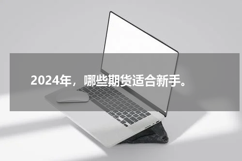 2024年，哪些期货适合新手。