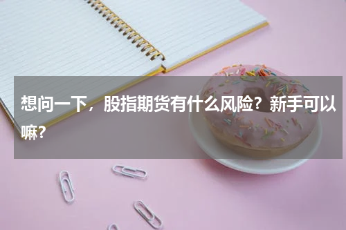 想问一下，股指期货有什么风险？新手可以嘛？
