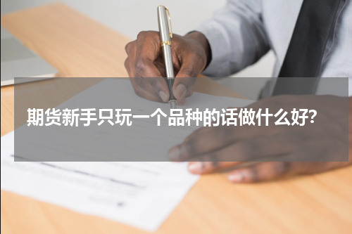 期货新手只玩一个品种的话做什么好？