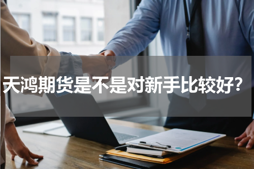 天鸿期货是不是对新手比较好？