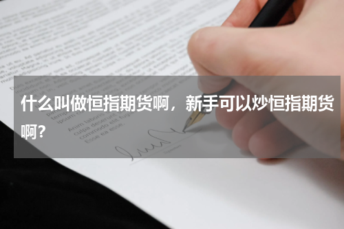 什么叫做恒指期货啊，新手可以炒恒指期货啊？