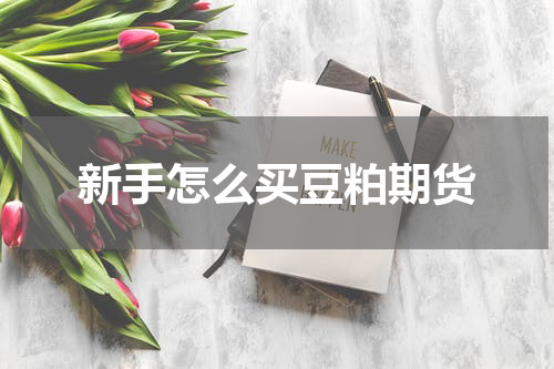 新手怎么买豆粕期货