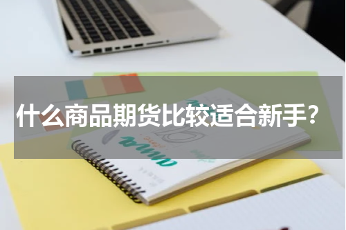 什么商品期货比较适合新手？