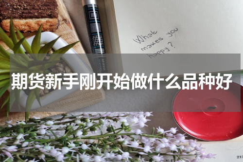 期货新手刚开始做什么品种好