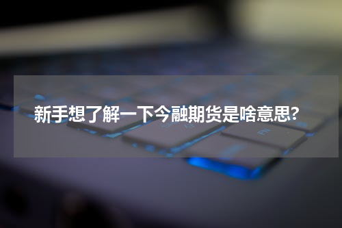 新手想了解一下今融期货是啥意思?