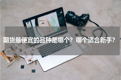 期货最便宜的品种是哪个？哪个适合新手？