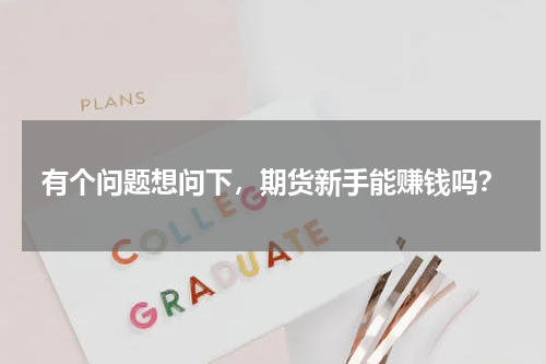 有个问题想问下，期货新手能赚钱吗？