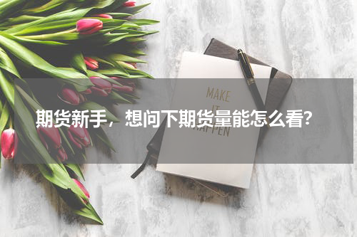 期货新手，想问下期货量能怎么看？